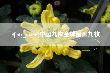 长兴中国九枚金牌是哪九枚
