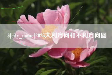 长兴2025大利方向和不利方向图