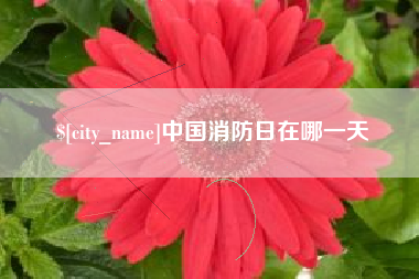 长兴中国消防日在哪一天