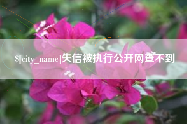 长兴失信被执行公开网查不到