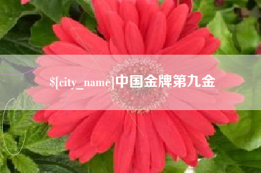 长兴中国金牌第九金