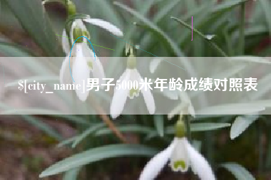 长兴男子5000米年龄成绩对照表