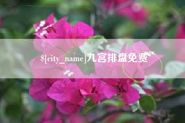 长兴九宫排盘免费