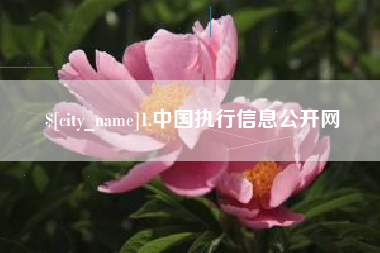 长兴1.中国执行信息公开网