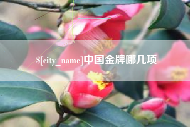 长兴中国金牌哪几项