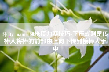 长兴60米接力赛技巧-下压式则是传棒人将棒的前部由上向下传到接棒人手中