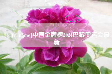 长兴中国金牌榜2024巴黎奥运会最新