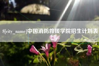 长兴中国消防救援学院招生计划表