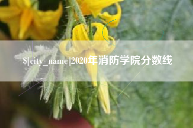 长兴2020年消防学院分数线