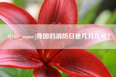 长兴我国的消防日是几月几号？