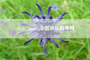 长兴全国消防招考网