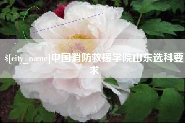 长兴中国消防救援学院山东选科要求