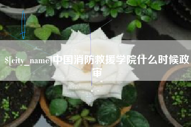 长兴中国消防救援学院什么时候政审