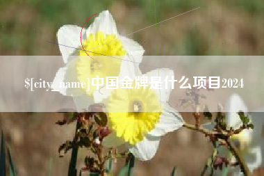 长兴中国金牌是什么项目2024