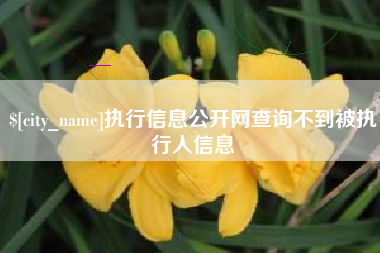 长兴执行信息公开网查询不到被执行人信息