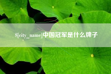 长兴中国冠军是什么牌子