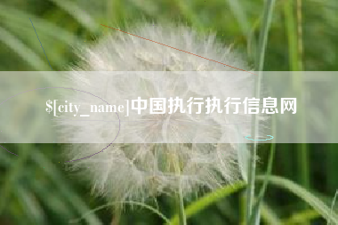 长兴中国执行执行信息网