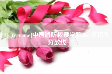 长兴中国消防救援学院2021年招生分数线