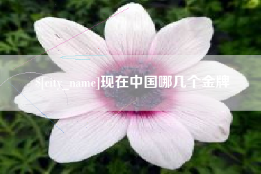 长兴现在中国哪几个金牌