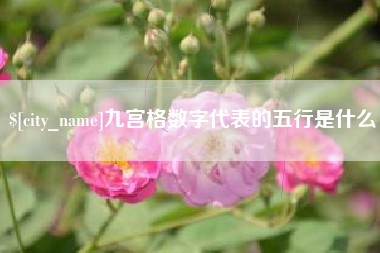 长兴九宫格数字代表的五行是什么