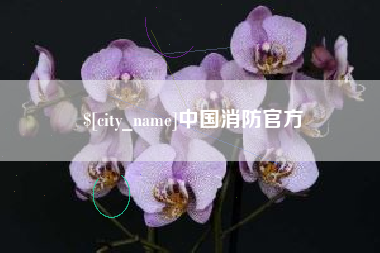 长兴中国消防官方