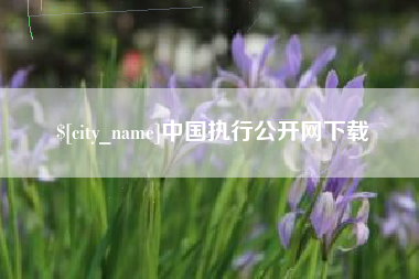长兴中国执行公开网下载