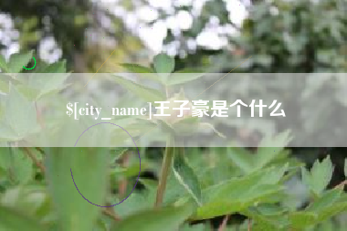 长兴王子豪是个什么