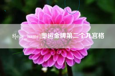 长兴奥运金牌第二个九宫格