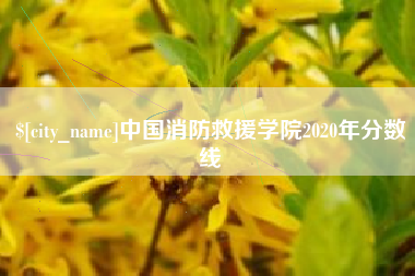 长兴中国消防救援学院2020年分数线