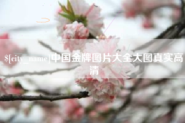 长兴中国金牌图片大全大图真实高清