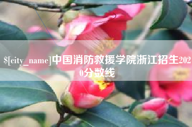 长兴中国消防救援学院浙江招生2020分数线