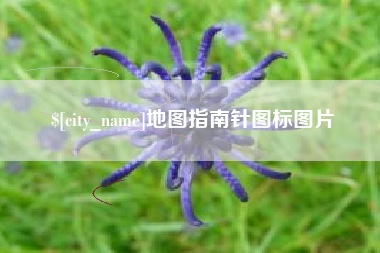 长兴地图指南针图标图片
