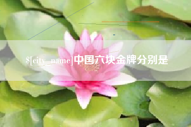 长兴中国六块金牌分别是