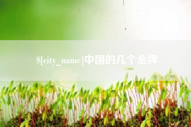 长兴中国的几个金牌