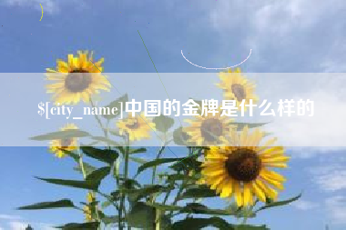 长兴中国的金牌是什么样的
