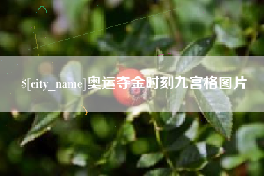 长兴奥运夺金时刻九宫格图片