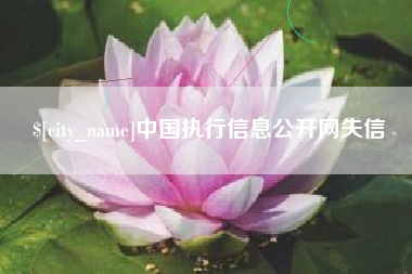 长兴中国执行信息公开网失信