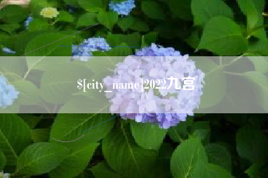 长兴2022九宫