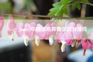长兴中国消防救援学院分数线
