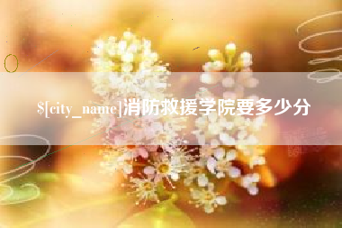 长兴消防救援学院要多少分