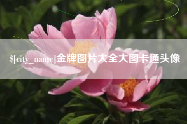 长兴金牌图片大全大图卡通头像
