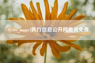 长兴执行信息公开网查询免费