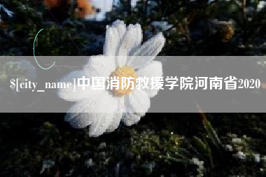 长兴中国消防救援学院河南省2020