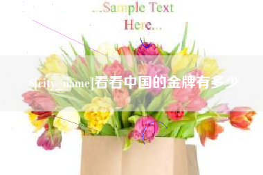 长兴看看中国的金牌有多少